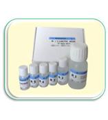 ���Ѿƌ���������/���Ǚz�y(c��)ԇ����