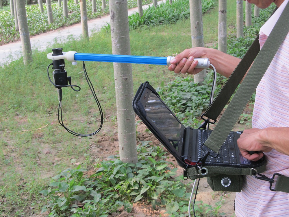 �D��ڌӷ����x,ֲ��ڌӷ����x